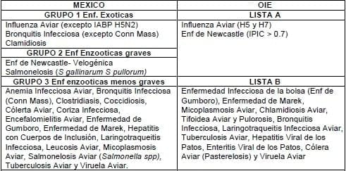 Perspectiva del Diagnóstico en Aves - Image 1