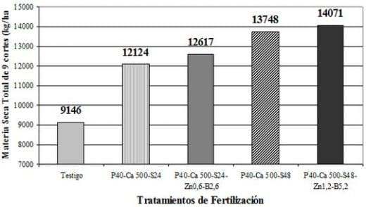 Manejo de la fertilizacion en alfalfa: efecto combinado del fosforo, del azufre, del calcio y los micronutrientes - Image 3