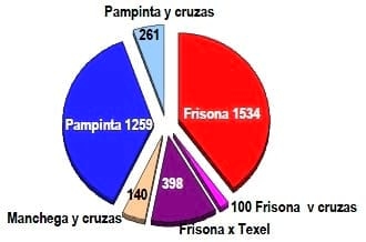 Situación actual de los Tambos ovinos en Argentina - Image 5