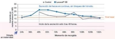 Tránsito intestinal alrededor del parto: ¡el factor clave! - Image 1
