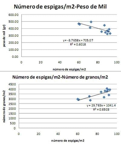 Ensayo de interacción entre densidad de siembra, Híbridos y fertilización nitrogenada en Maíz - Image 11