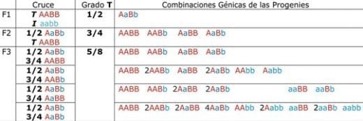 Recursos genéticos para producción de leche en los trópicos - Image 3