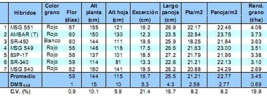 Comportamiento de los sorgos híbridos para grano dentro de los ensayos uniformes del PCCMCA 2009 - Image 15