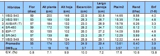 Comportamiento de los sorgos híbridos para grano dentro de los ensayos uniformes del PCCMCA 2009 - Image 11