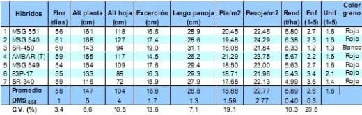 Comportamiento de los sorgos híbridos para grano dentro de los ensayos uniformes del PCCMCA 2009 - Image 16