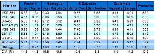 Comportamiento de los sorgos híbridos para grano dentro de los ensayos uniformes del PCCMCA 2009 - Image 17