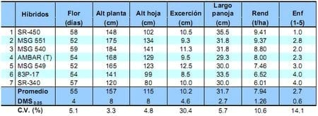 Comportamiento de los sorgos híbridos para grano dentro de los ensayos uniformes del PCCMCA 2009 - Image 7