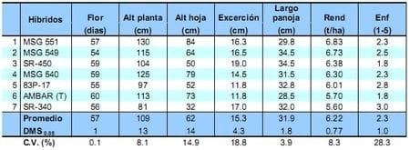 Comportamiento de los sorgos híbridos para grano dentro de los ensayos uniformes del PCCMCA 2009 - Image 8