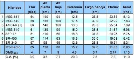 Comportamiento de los sorgos híbridos para grano dentro de los ensayos uniformes del PCCMCA 2009 - Image 4