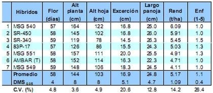 Comportamiento de los sorgos híbridos para grano dentro de los ensayos uniformes del PCCMCA 2009 - Image 5
