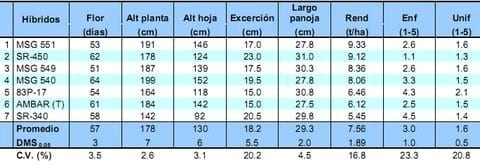 Comportamiento de los sorgos híbridos para grano dentro de los ensayos uniformes del PCCMCA 2009 - Image 10