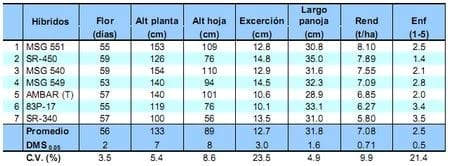 Comportamiento de los sorgos híbridos para grano dentro de los ensayos uniformes del PCCMCA 2009 - Image 9