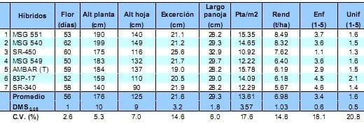 Comportamiento de los sorgos híbridos para grano dentro de los ensayos uniformes del PCCMCA 2009 - Image 12