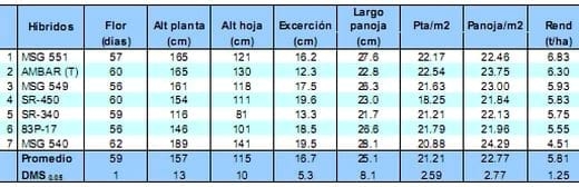 Comportamiento de los sorgos híbridos para grano dentro de los ensayos uniformes del PCCMCA 2009 - Image 13