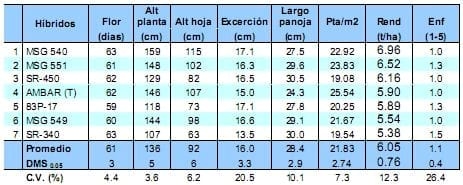 Comportamiento de los sorgos híbridos para grano dentro de los ensayos uniformes del PCCMCA 2009 - Image 6