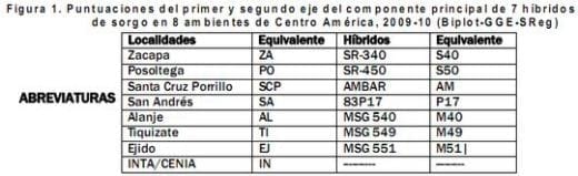 Comportamiento de los sorgos híbridos para grano dentro de los ensayos uniformes del PCCMCA 2009 - Image 19