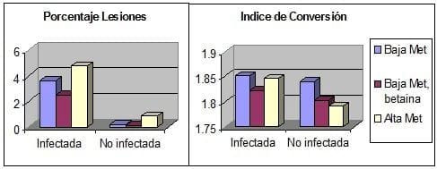 Betaína, Coccidiosis y Coccidiostatos en Avicultura - Image 1