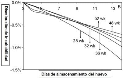 Calidad de huevo en reproductoras y su impacto en los nacimientos - Image 3
