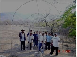 Túnel para la producción de forraje de maíz, con recirculación de agua - Image 2