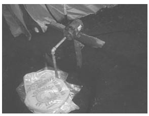 Túnel para la producción de forraje de maíz, con recirculación de agua - Image 6