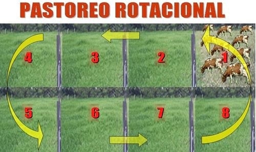 El arte de saber saltar en PRV - Image 1