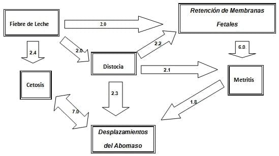 Estrategias de monitoreo de la vaca en transición - Image 1