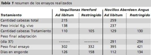 Estrategias de alimentación para el engorde a corral. Programas de restricción de consumo. Experiencias locales. - Image 1