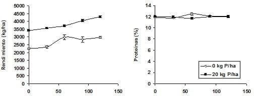 Fertilización en cebada cervecera Pautas de manejo para la obtención de altos rendimientos con calidad. - Image 7