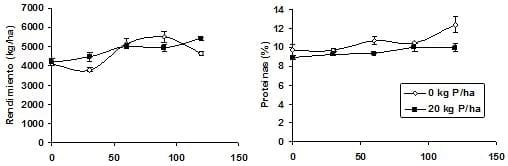 Fertilización en cebada cervecera Pautas de manejo para la obtención de altos rendimientos con calidad. - Image 9