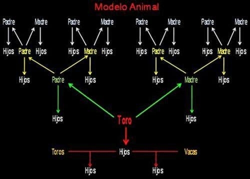 Evaluaciones genéticas. Diferencias en las PTAs entre diferentes estimativas - Image 5