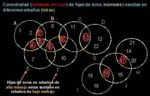 Evaluaciones genéticas. Diferencias en las PTAs entre diferentes estimativas - Image 4