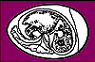 Guia de incubación - Image 22