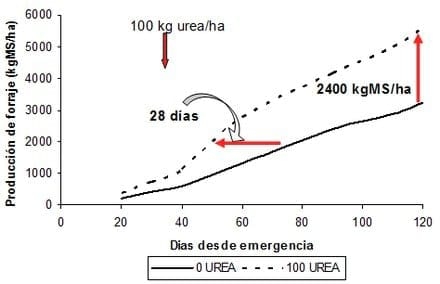 Verdeos invernales estratégicos en el Noreste Argentino - Image 1