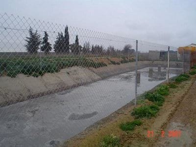 Recomendaciones prácticas para reducir el impacto ambiental en granjas porcinas - Image 3