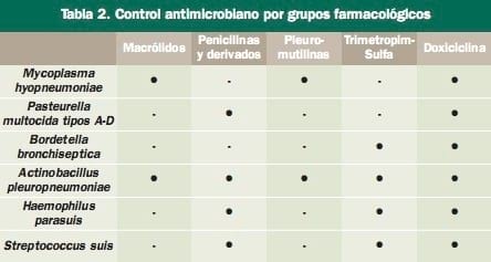 Tratamiento de las infecciones respiratorias del porcino mediante doxiciclina en pienso. Patógenos implicados y pautas posibles de control - Image 2
