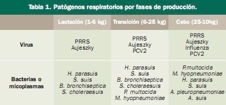Tratamiento de las infecciones respiratorias del porcino mediante doxiciclina en pienso. Patógenos implicados y pautas posibles de control - Image 1