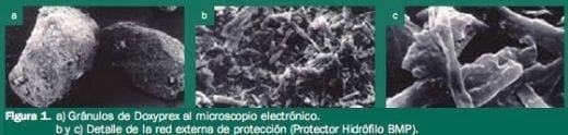 Tratamiento de las infecciones respiratorias del porcino, Características de la doxiciclina y ventajas de la protección BMP - Image 1