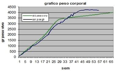 Densidad de aves y su relación con los objetivos de desempeño en fase de cría y producción en reproductoras pesadas - Image 7