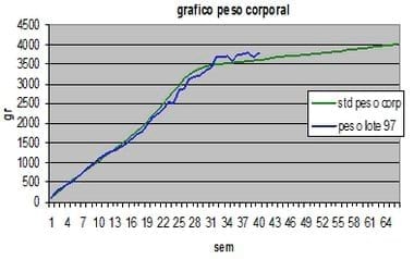 Densidad de aves y su relación con los objetivos de desempeño en fase de cría y producción en reproductoras pesadas - Image 8
