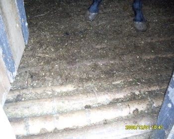 Pisos antideslizantes naturales y artificiales en construcciones ganaderas y su preparacion - Image 15
