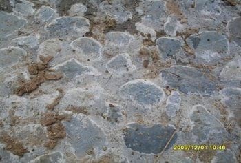 Pisos antideslizantes naturales y artificiales en construcciones ganaderas y su preparacion - Image 11