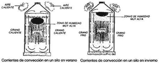 El almacenamiento como base de las propiedades cualitativas de un alimento animal - Image 1