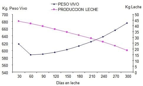 Sistemas de valoración energética para vacas lecheras - Image 1