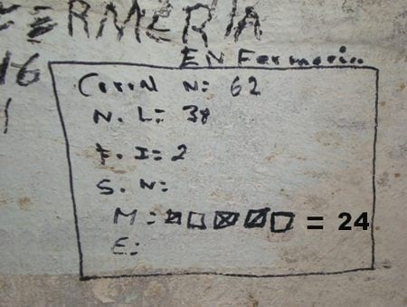 La Enfermería: La manera de recuperar lechones enfermos - Image 4