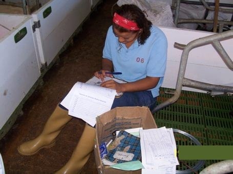 La Enfermería: La manera de recuperar lechones enfermos - Image 3