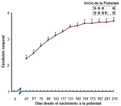 Determinación del inicio de la pubertad en machos cabríos de la raza alpino nacidos en invierno en el subtrópico mexicano - Image 2
