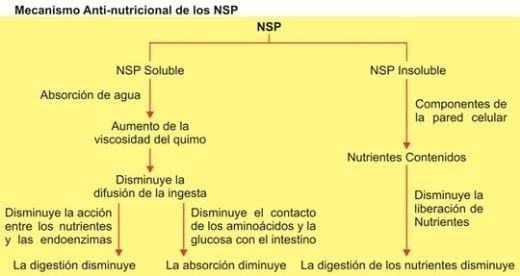 Compuesto enzimático diseñado para aprovechar al máximo los nutrientes aportados por las materias primas utilizadas en Argentina - Image 1