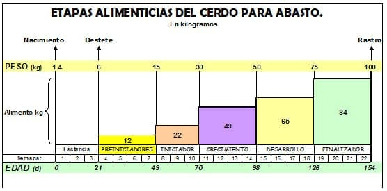 Nutrición rentable del lechón moderno (parte I) ¿Cómo seleccionar un preiniciador? - Image 10