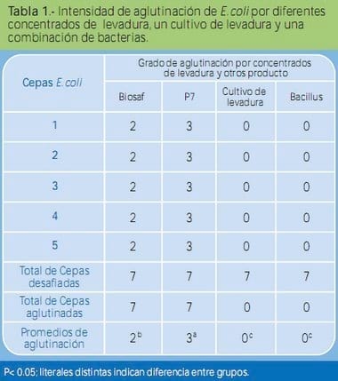 Análisis comparativo en la capacidad de aglutinación de cepas de Escherichia coli y Salmonella spp, por diferentes concentrados de la levadura Saccharomyces cerevisiae y otros productos comerciales - Image 1