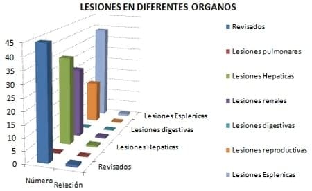 Monitoreo en rastro como herramienta de diagnostico de micotoxinas en cerdos - Image 1
